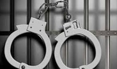 ब्रिटेन में 12 भारतीय गिरफ्तार