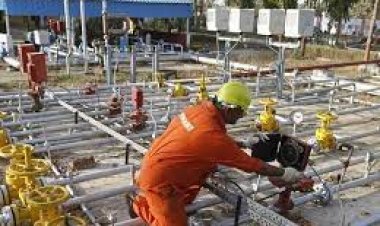 GAIL Achieves Record Revenue of Rs 1,30,638 Crore in FY 2024, PBT Surges by 75%