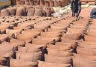 ₹150 Crore Paddy Procurement Scam Rocks Madhya Pradesh; Massive Fraud Unearthed in Rice Milling