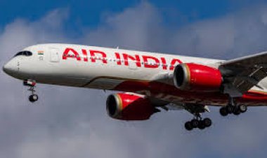 Chicago-Delhi flight AI126 forced to turn back after 11 out of 12 lavatories become clogged, leaving passengers stranded