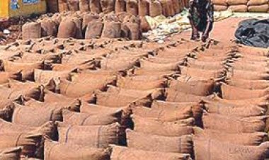 ₹150 Crore Paddy Procurement Scam Rocks Madhya Pradesh; Massive Fraud Unearthed in Rice Milling