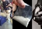 Kerala Operation D-Hunt: 130 Arrested, MDMA, Cannabis, and More Seized