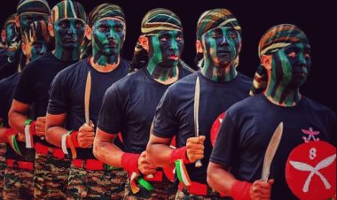 Tiger Triumph 2025: Mountain Moves and Martial Arts: India-US Troops Bond in Tiger Triumph 2025