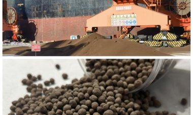 Agrifields DMCC to Enter Korea, Launch Bio-Tech Fertilizers in India by FY'26